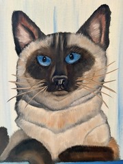 Original oil painting 11 x 14 inch Siamese cat signed canvas