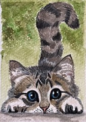 ACEO Original Art, Tiny Art – Watercolor – Cat – Peek-Aboo-Kitty