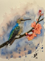 Hummingbird original watercolor painting signed 9 x 12 inches