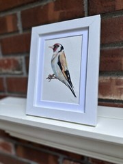 Goldfinch. Print of an original watercolor. 5×7″ with white mat 8×10″ framed