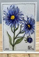 ACEO Painting by M. Hackney Blue Flower Watercolor & Ink, Signed, 2.5×3.5″ 2026