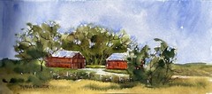 Pamela Wilhelm 2.5”x6” original Watercolor & Ink Big Trees Farm Red Barns Fence