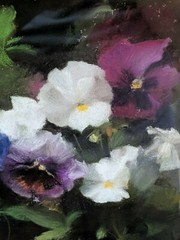 Lindesay Harkness Original 15×13″ Pastel-Canvas Painting „Pansies in the Garden“