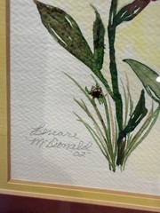Watercolor Coneflower Painting Matted, Framed Pastel Floral Wall Art 15x16Signed