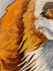 9 x 12 Original Acrylic Painting With Ink on Canvas…….“Staring Fox“