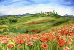 Poppy Meadow Landscape Watercolor Original Painting