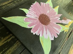 Extreme Echinacea (textured acrylic on Canvas OOAK