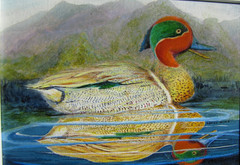 ORIGINAL ART ACRYLIC PAINTING GREEN WINGED TEAL BIRD, 5″ by 7″ with frame
