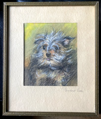 Dog Berherd Wolde Terrier Drawing Antique Animals Frame ° Interesting Made