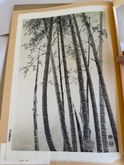 „Bamboo“ Japanese Woodblock Print Eiichi Kotozuka 1960 Mat