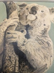 Vintage Artist Signed Oil Painting Koala Bear On Tree Framed 9.5×7.5″