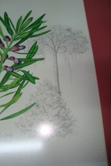 G Gillian Condy Botanical Water color painting Art work Yellow wood tree + Book