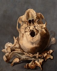 Dutch Old Master Still Life Of A Skull Memento Mori – Pieter Claesz (1597-1660)