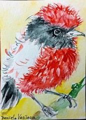 ACEO Colorful exotic Bird art Original painting,watercolor,walldecor homeDesign