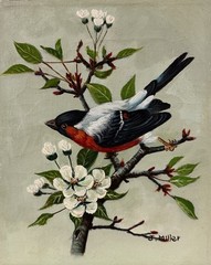 American 20C, J. Miller, Oil Painting on Canvas, Bird, Bullfinch on a Tree