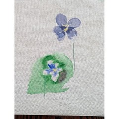 Vtg Still Life Watercolor 10×16 Flower Lilie Signed Teri Banas Minimalist Moody