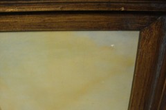 Original framed painting on board Scott gleason American ornithology Pelican