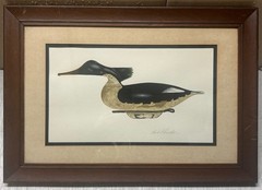 Vintage Original Bob Piscatori ‚Cape Cod MERGANSER Carved Duck DECOY‘ Painting