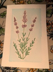 Original Aceos mini watercolor painting lavender flowers, 4 X 2.75 inches