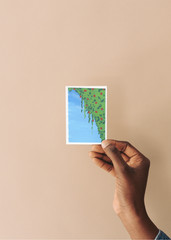 ACEO Art Trading Card Hanging Plant Acrylic Marker OOAK Original Painting
