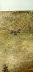 Antique Original Oil On Canvas Unusual Airplane Folk Art Painting Sgn V Thayer