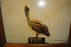 Original framed painting on board Scott gleason American ornithology Pelican