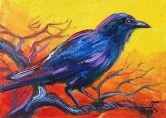 Black Raven Bird Oil Painting Original Animal Art Impressionist Canvas 5×7