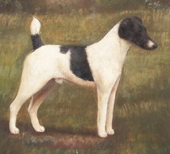 19th Century English Dog Portrait Black & White jack Russell Terrier CROWTHER