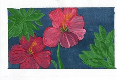 ACEO Limited Edition Art Print Nature Numbered Prints Watercolor Ink 1 of 12