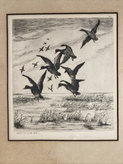 Vintage Original Plein Air Etching Mallard Ducks Dropping In Landscape Signed