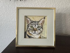 ORIGINAL OIL PAINTING TABBY CAT PORTRAIT SIGNED FRAMED 4×4