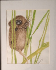 Mouse watercolor paintings original framed Medium 11×14. Signed By BMartinez.