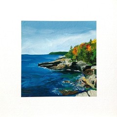 8×8 Maine Original Oil Painting Acadia Pine Trees New England Coastal Art Signed