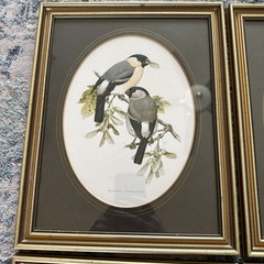 Set Of 4 John Murr Paintings 1956-1950 (Excludes1958) Manuscript Limited