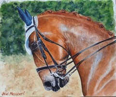 ORIGINAL Watercolor Painting “ Horse Head “ 9″ X 11″