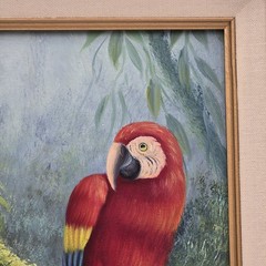 Mariel Chapot Oil Painting Scarlet Macaw On Branch Parrot Bird Framed Signed