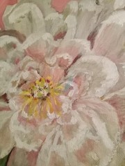 Original Oil Painting White Peony Flower Coral Pink 12×12″ Square Canvas Signed