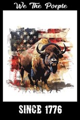 We The People Since 1776 Buffalo Flag Patriotic Travel Poster 16×24 Giclee