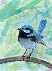 ACEO By Kenna Blue Fairy Wren Bird Gouache Painting 2.5” X 3.5” Signed ATC