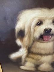 Vintage Signed Real Framed Oil On Canvass Painting Pet Dog Shitzu Puppy 31×26”