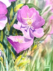 Original Watercolor Painting 12×10 in Unframed Signed Pink Flower Wall Art