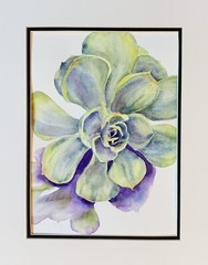 Succulent Original Watercolor Painting