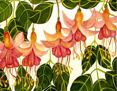 PAINTING WATERCOLOR 11X14 & WHITE MAT 16X20 FLOWER FUCHSIA PINK ORANGE CORAL RED