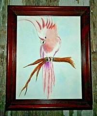 Cockatiel Original Watercolor Painting, Beautifully Framed, Rich Colors, Mint…