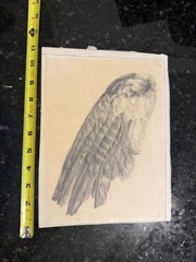 Mid Century Modern Drawing Feathers Obsieger Class 1957 Postenrieder Erich