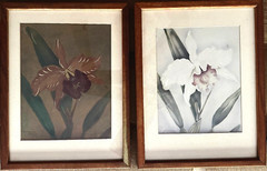 VTG.1940 „Tip Freeman-The Orchid“Signed-Honolulu Prototype & Original Koa Frames