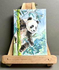 Original Watercolor ACEO Painting Giant Panda Climbing Bamboo Wildlife OOAK Art