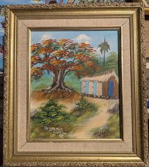 Flamboyant tree Hand Painted Original Oil Painting Benjamin Guaba Caribbean Home