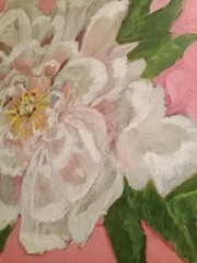 Original Oil Painting White Peony Flower Coral Pink 12×12″ Square Canvas Signed