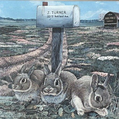 Steve St. Clair Limited Edition Print Signed Rabbits Farm Barn Matted Framed VTG